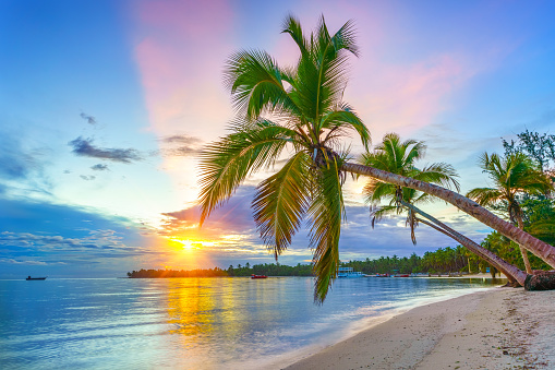 Екскурзии и почивки до Bavaro beach
